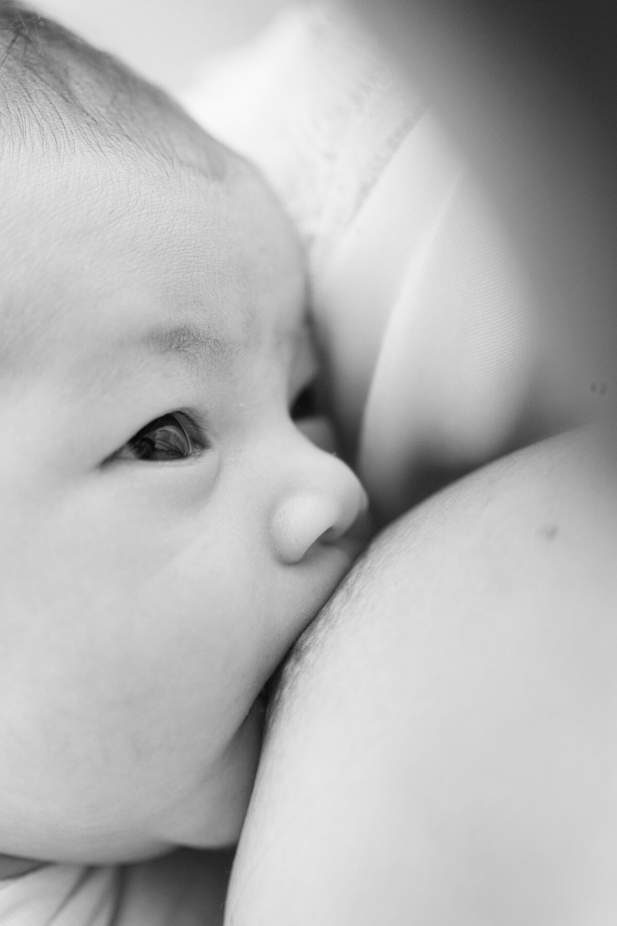 Philadelphia newborn portraits - 14