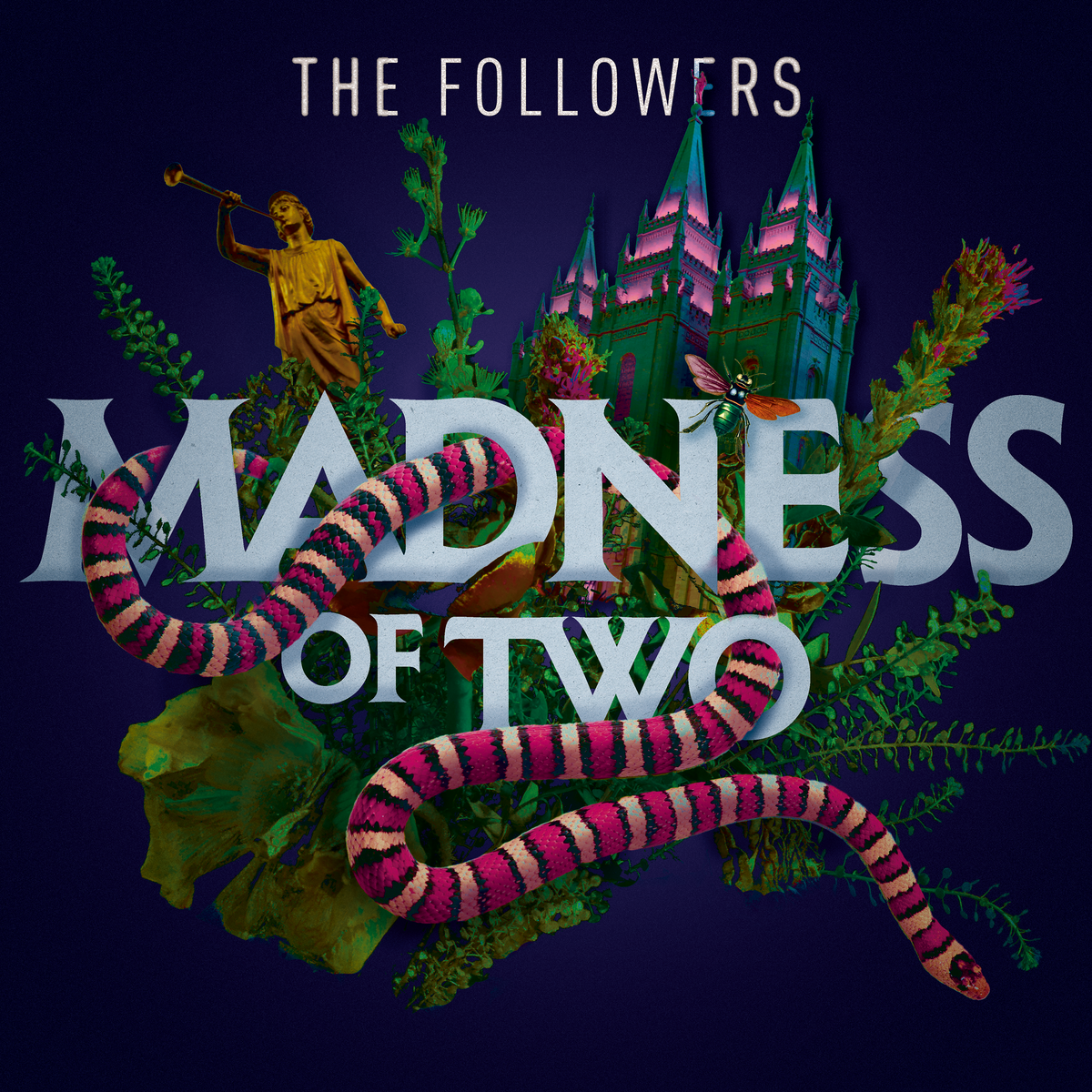 Followers-Madness_3000x3000
