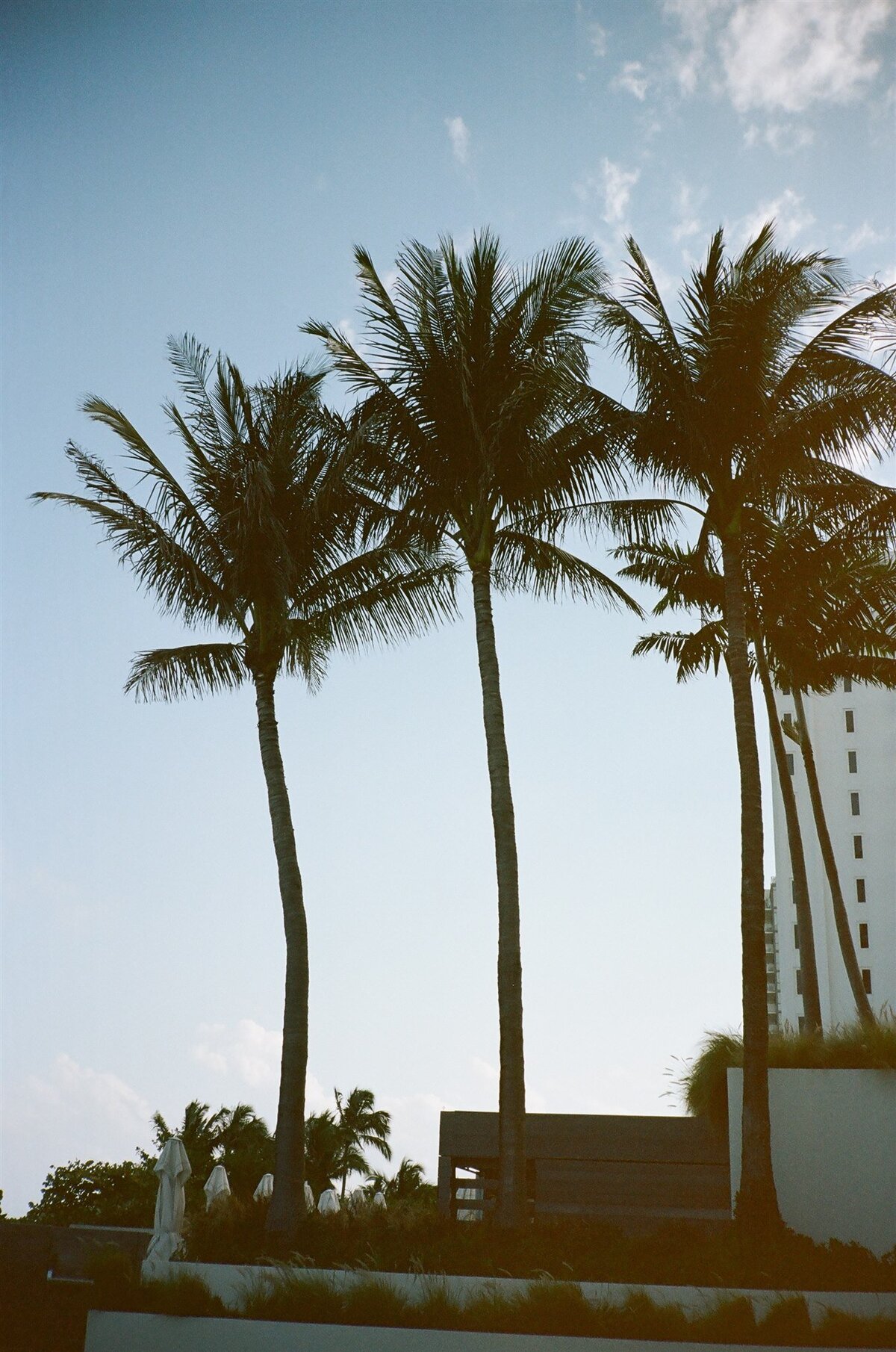 JESSICA RIEKE PHOTOGRAPHY - OLIVIA AND DJ WEDDING - FILM-18