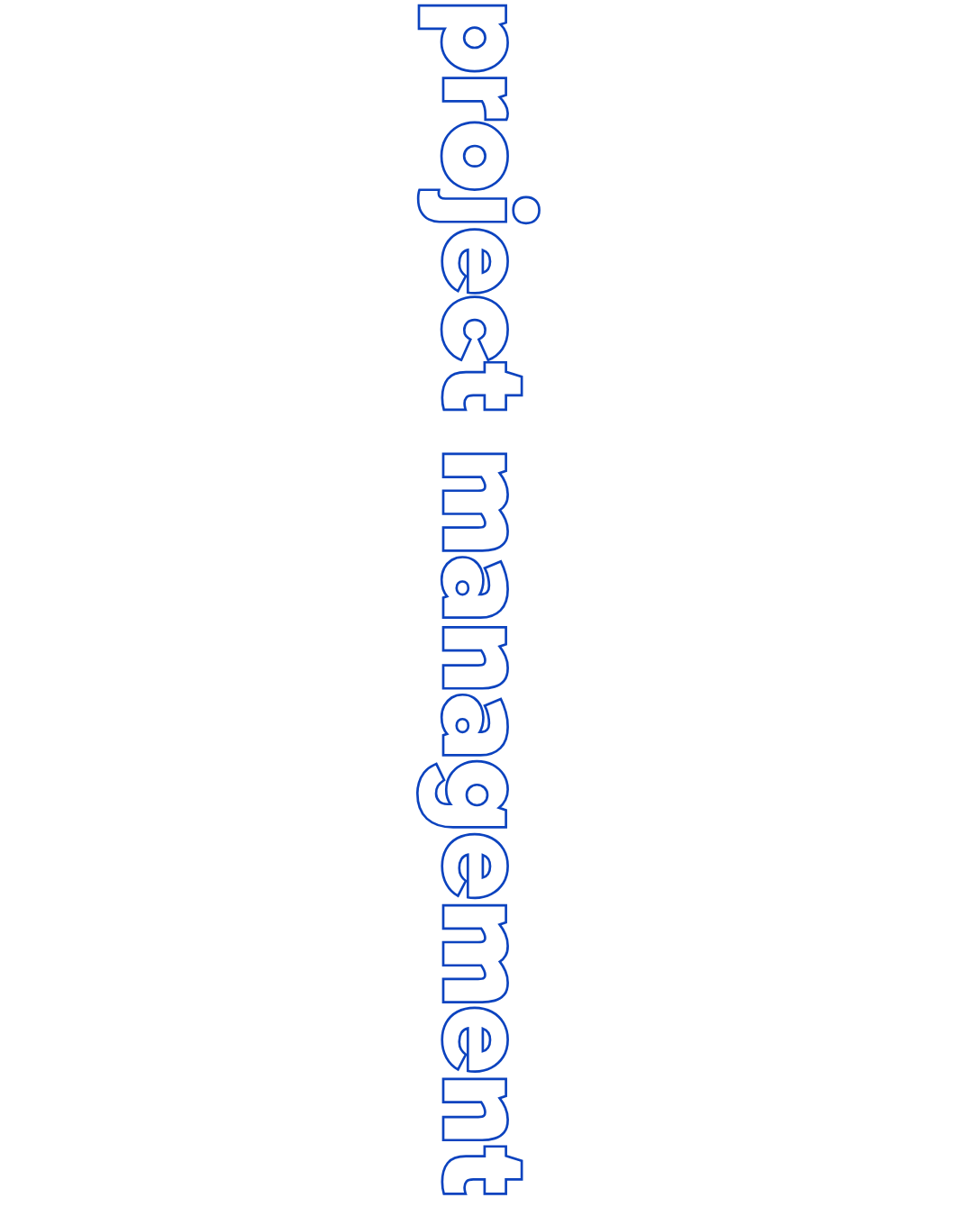project management