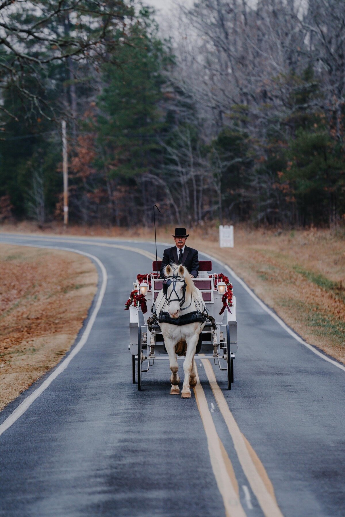 a horse and carriage on a road of the saratoga springs in north carolina
