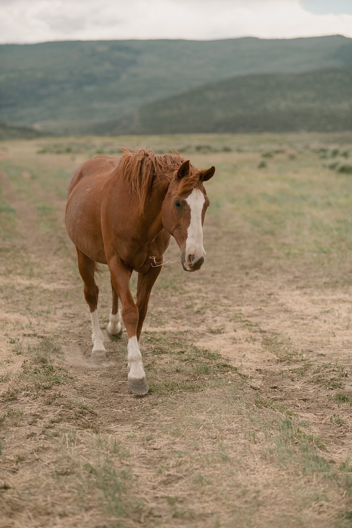 Colorado_Wedding_Photographer_0379