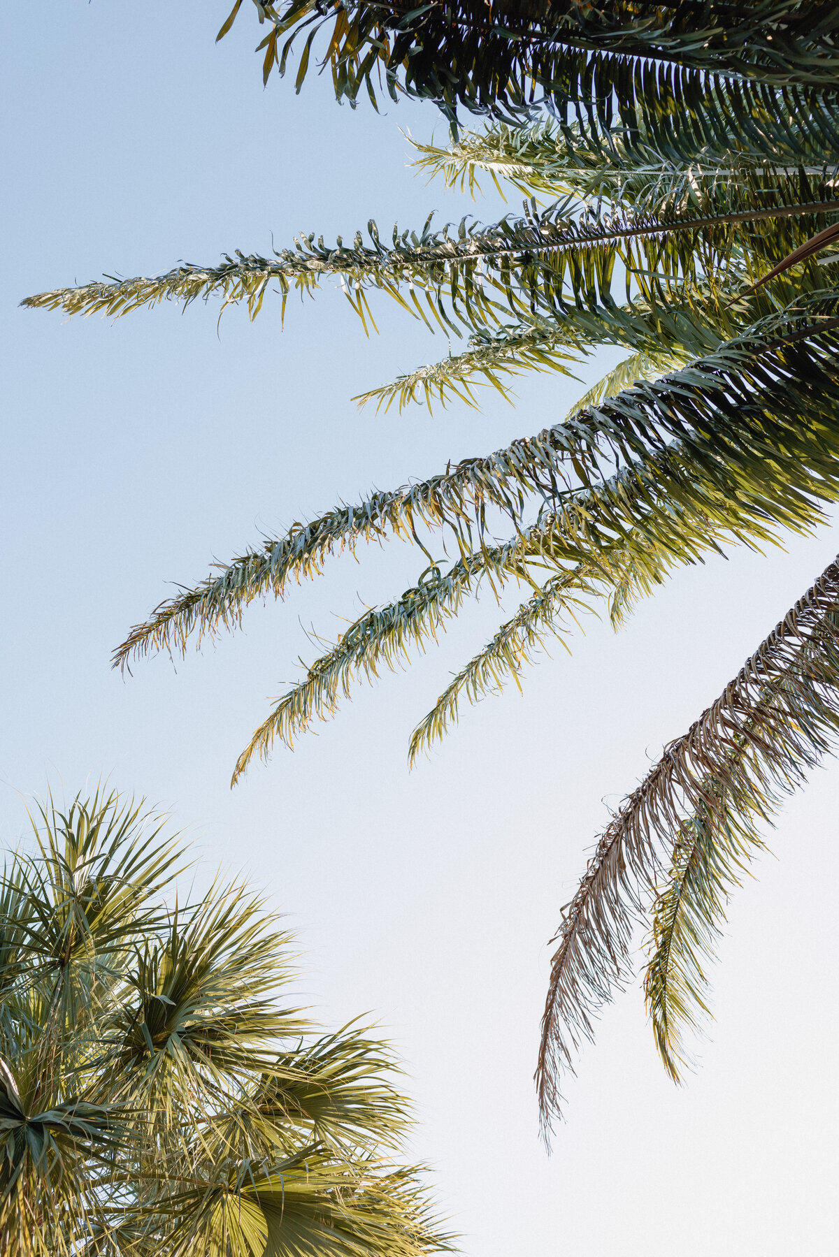 Florida Portfolio-Baylie Krutchik Photography-105