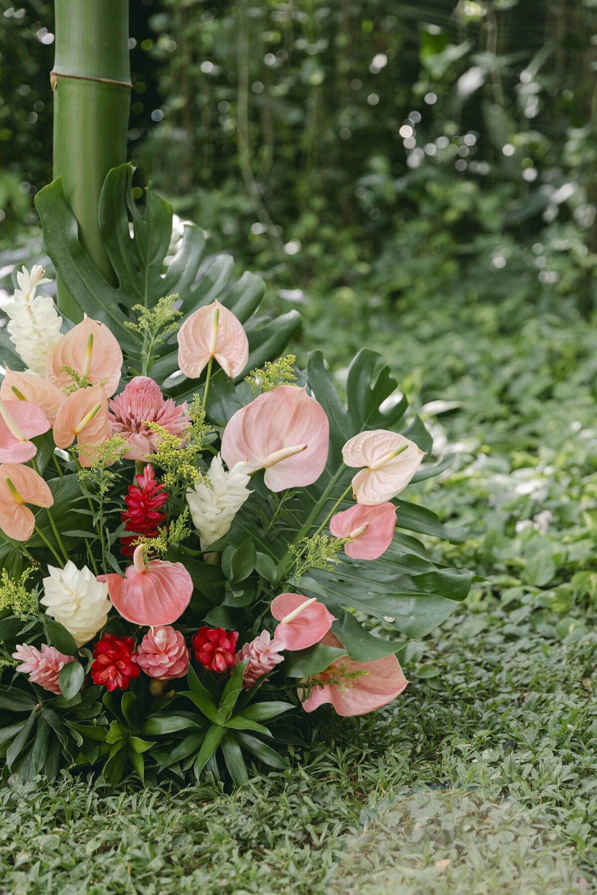 PERRUCCIPHOTO_BELIZE_DESTINATION_WEDDING_66