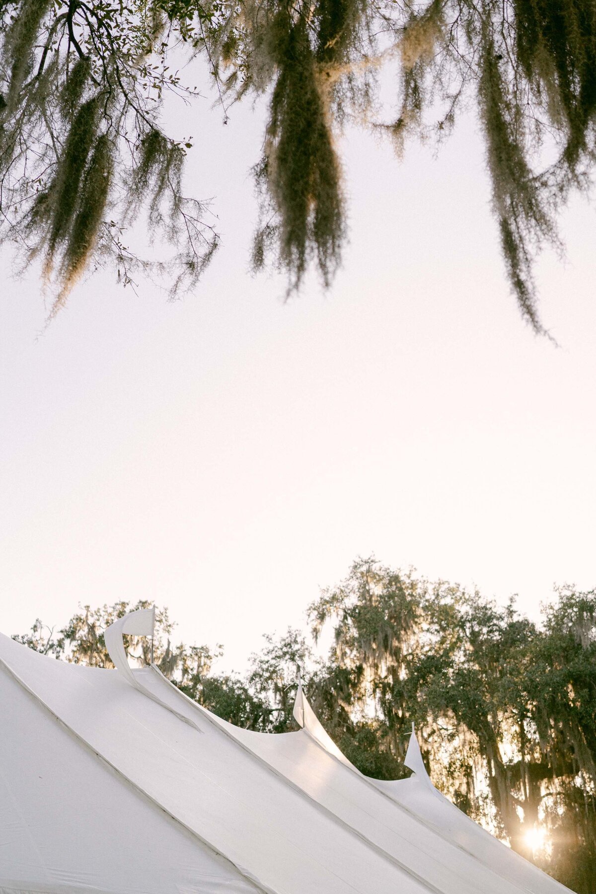 17Middleton_Place_WeddingDSC06678