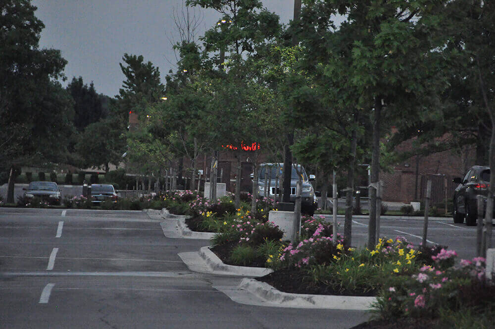 Commercial landscape company project in Kansas City