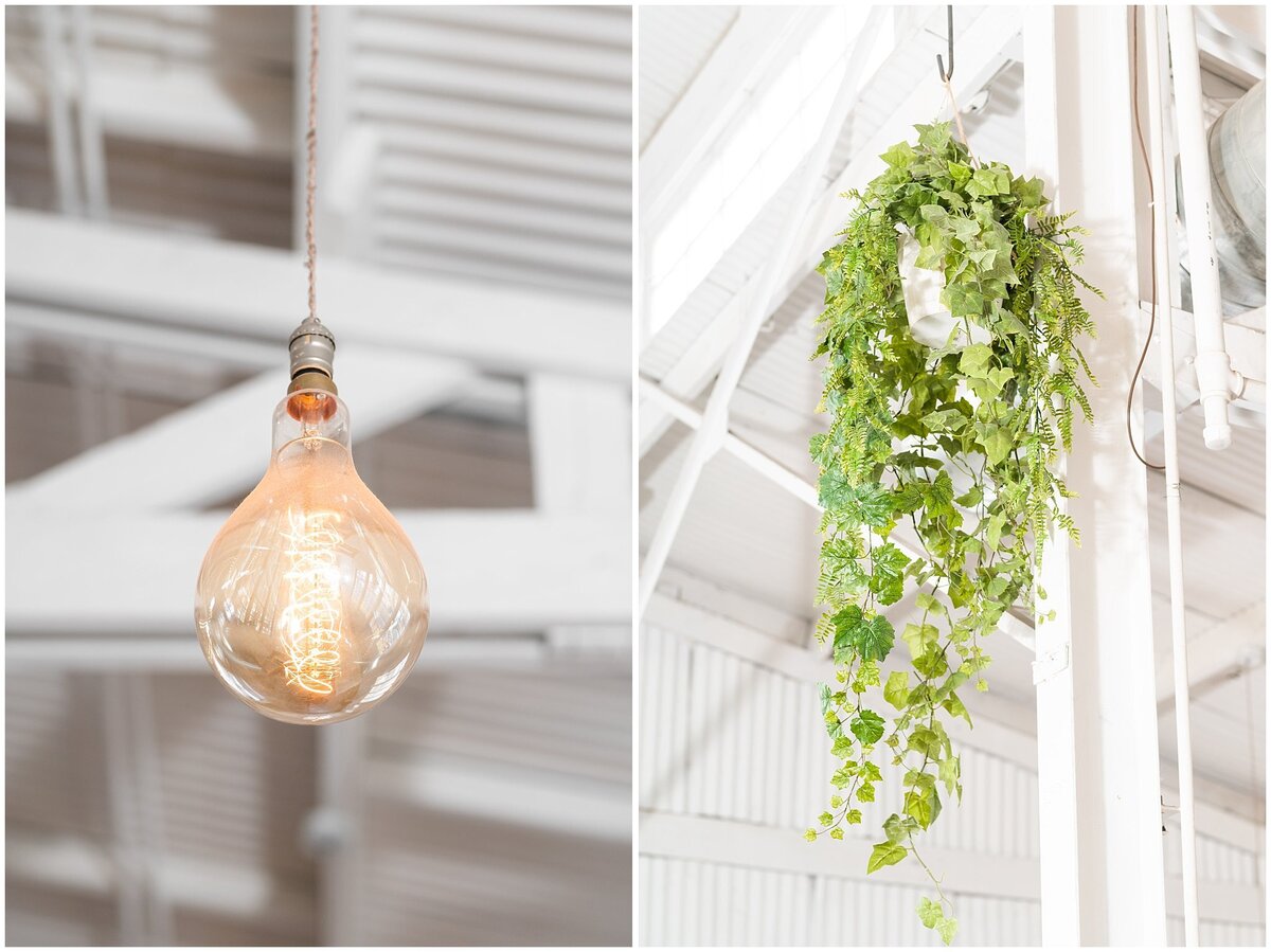 Light fixtures and plants hanging at White Shanty Venue