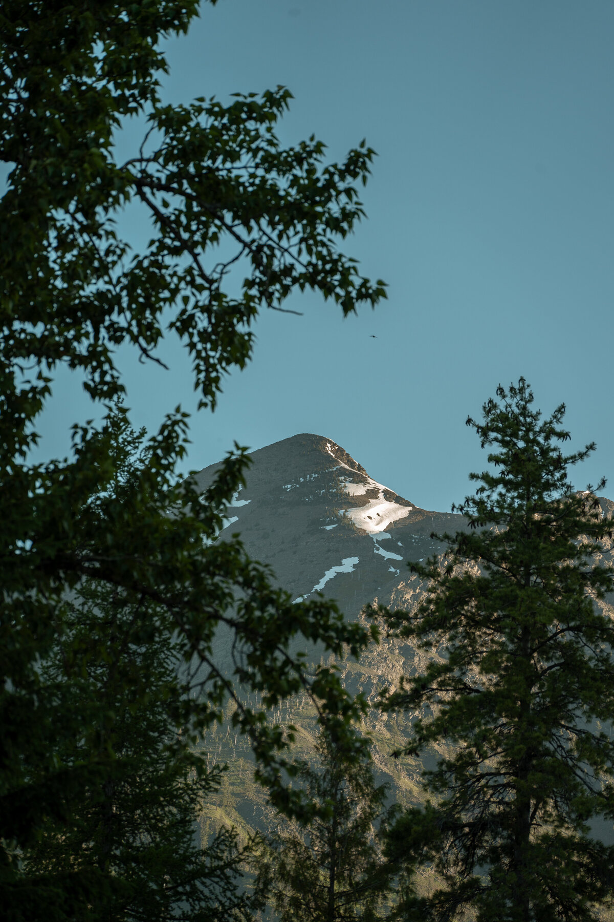 DSC00096
