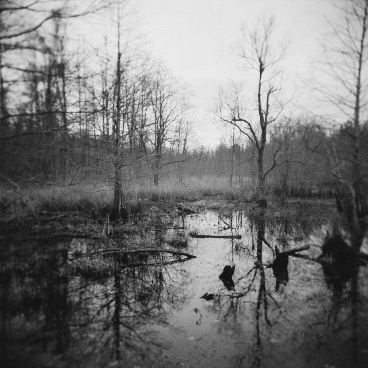 Highlights_ Selma 60th March_ Jillian Adams Photography (72)