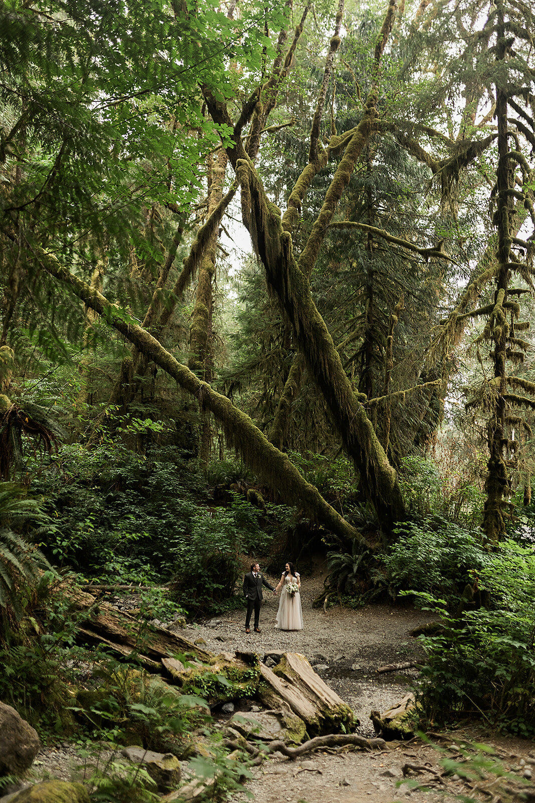 Olympic National Park Elopement  - Tara Nichole Photo - 2023 - Kyle and Keaton-35