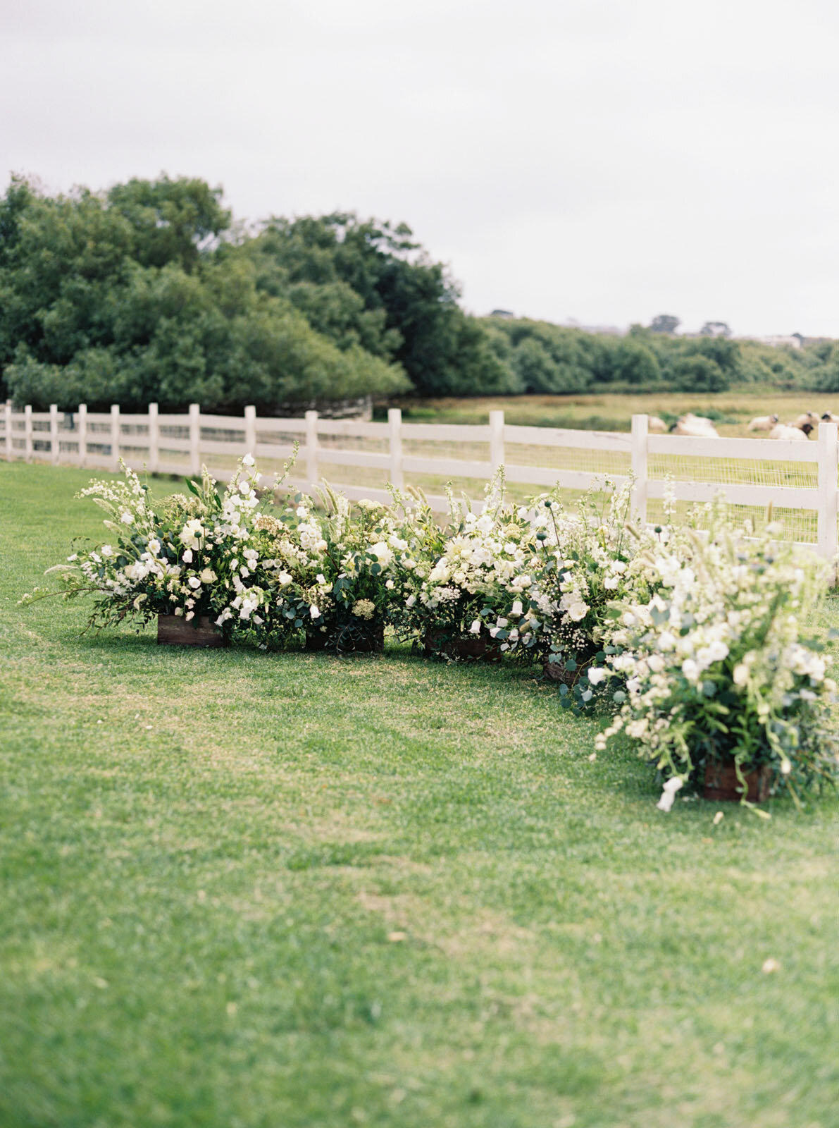 amandacallawayphoto-172