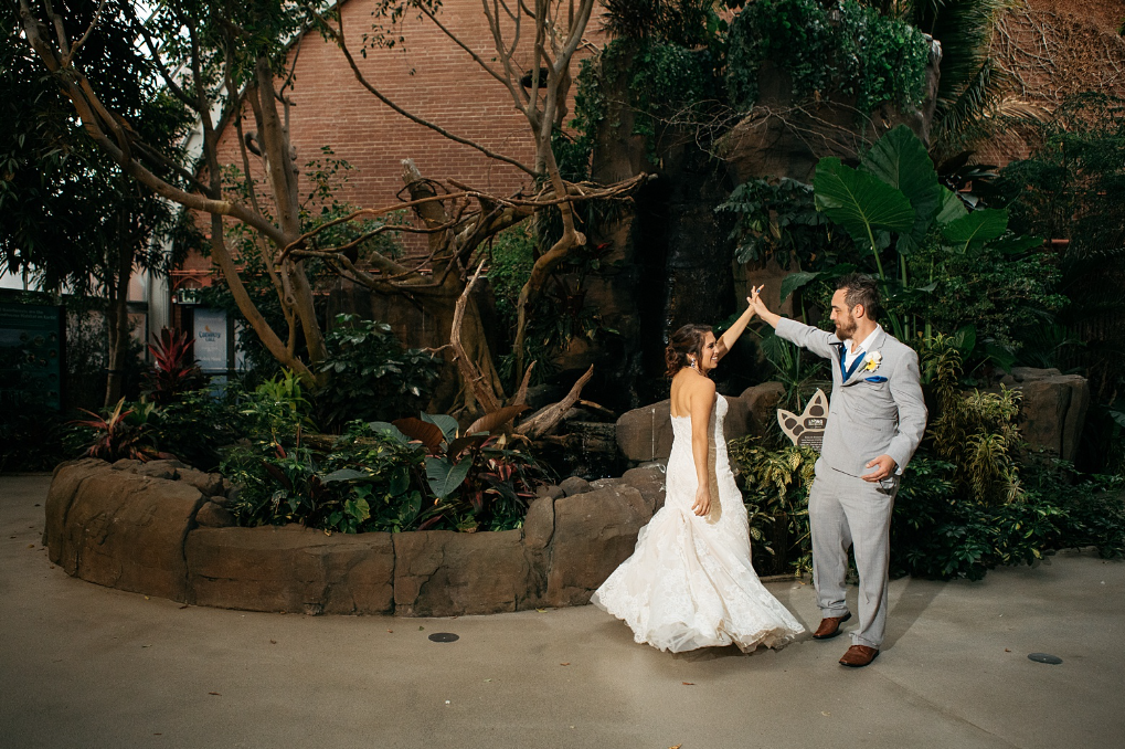 Wedding at National Aviary, Pittsburgh, PA
