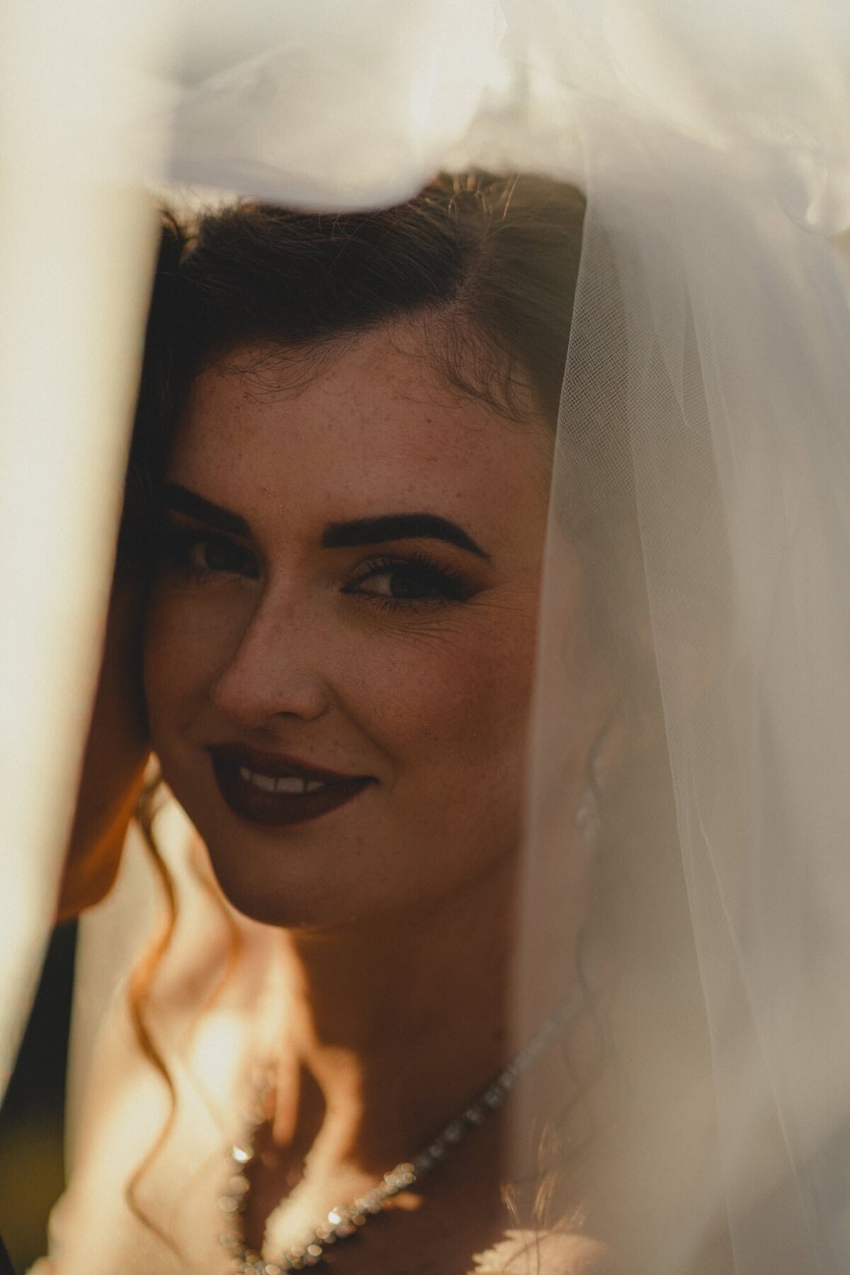 Bride looking through a veil with groom against her cheek