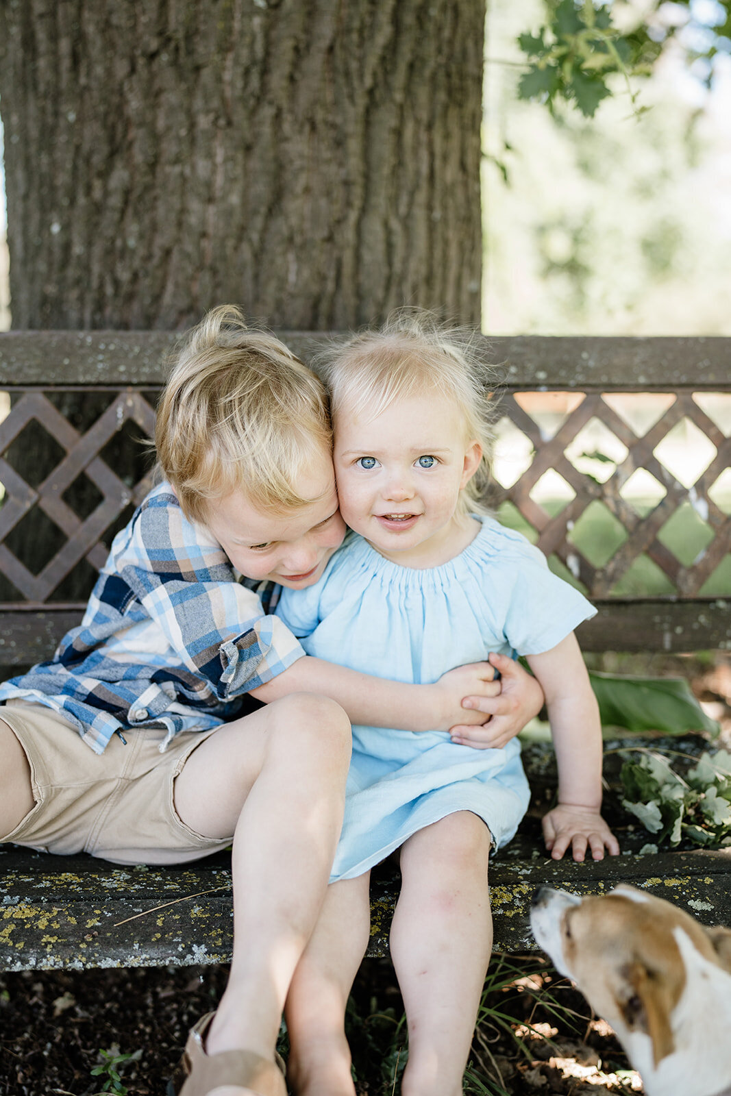 Harrington Family - Dec 2024 - JessicaCarrollPhotographer-73_websize