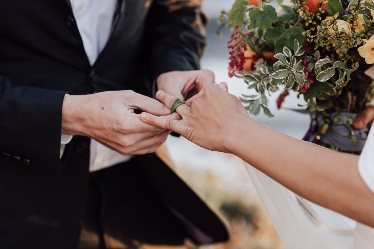 THEDELAURAS_HALEYBRAD_BIGSUR_ELOPEMENT_0182