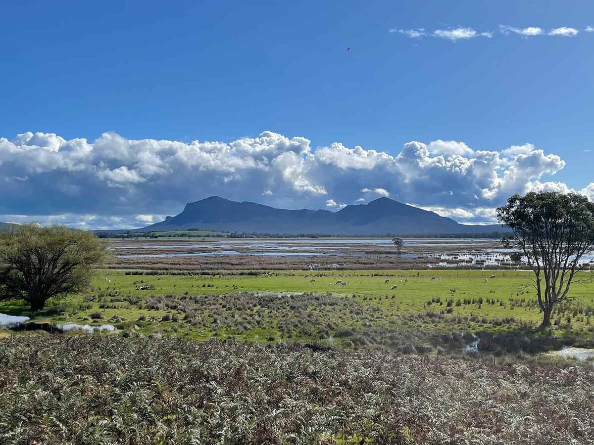 Abrupt Plains Pastoral