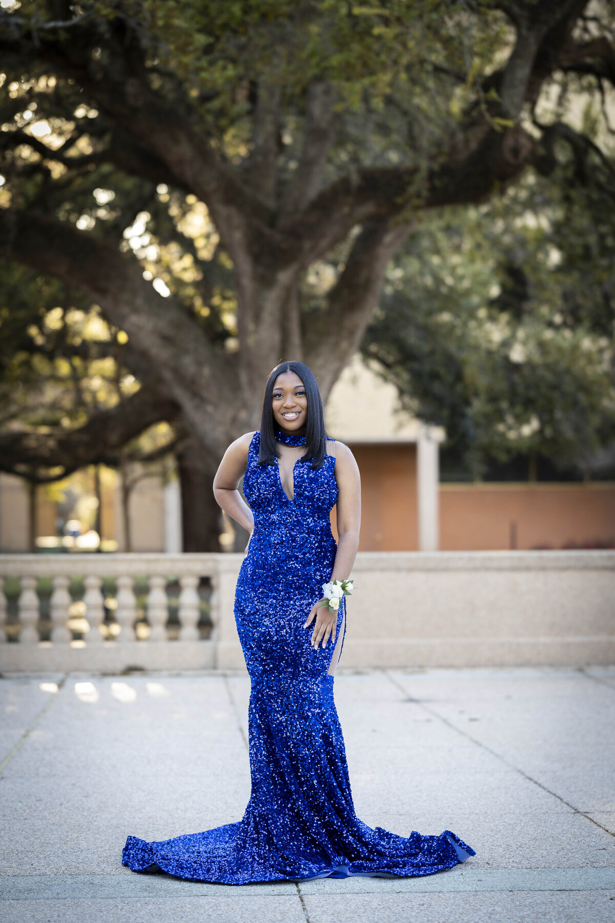 prom1