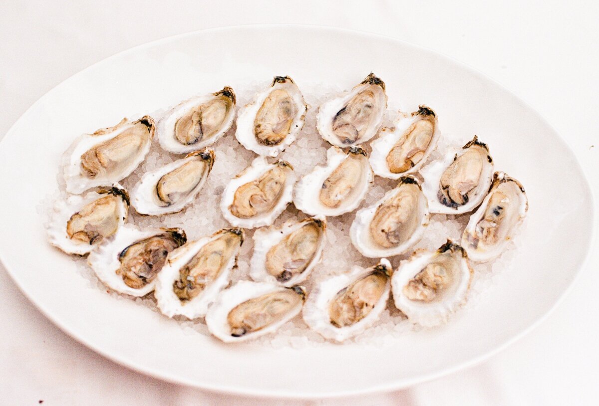 oysters