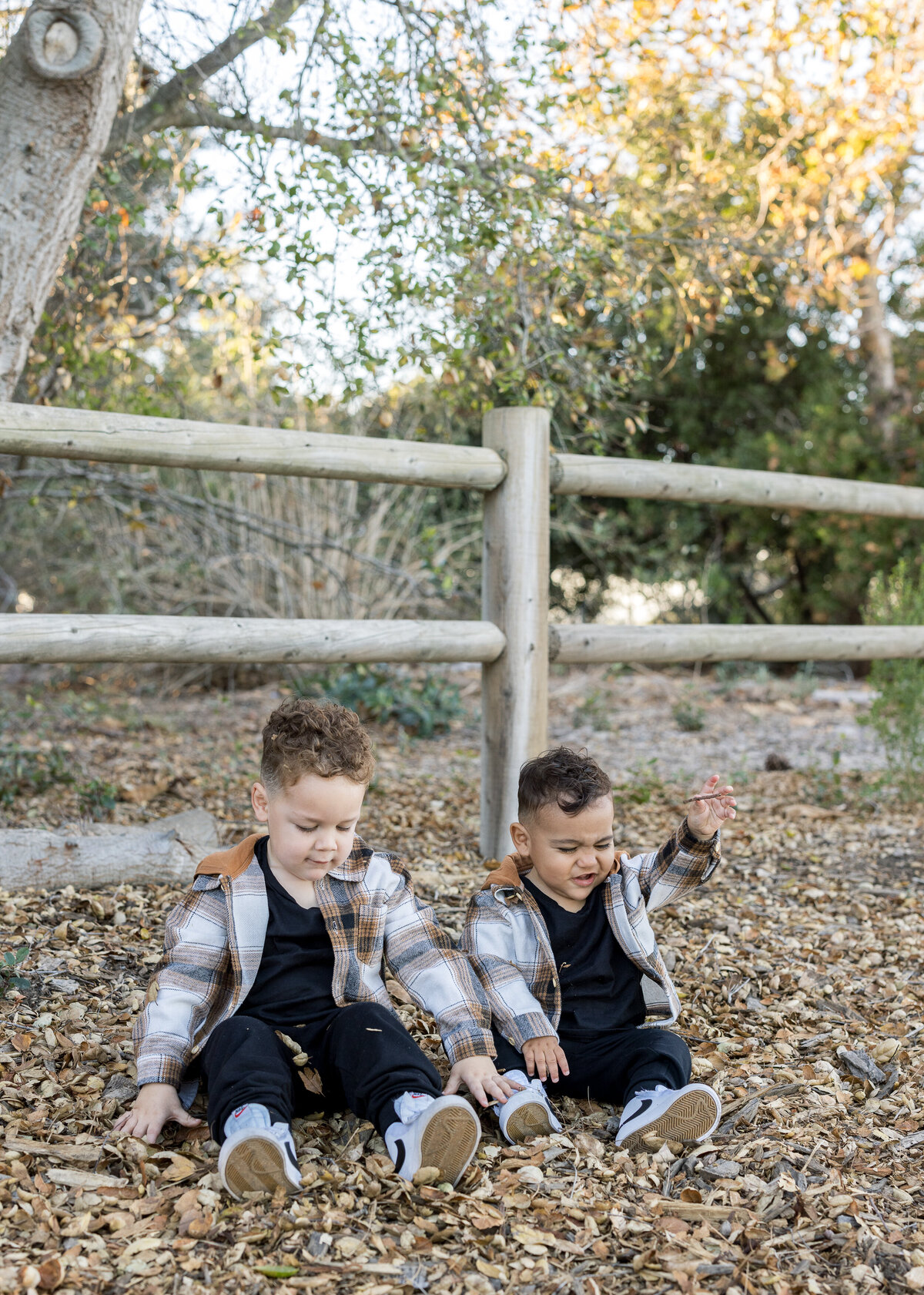 candid fall brother playing in leaves