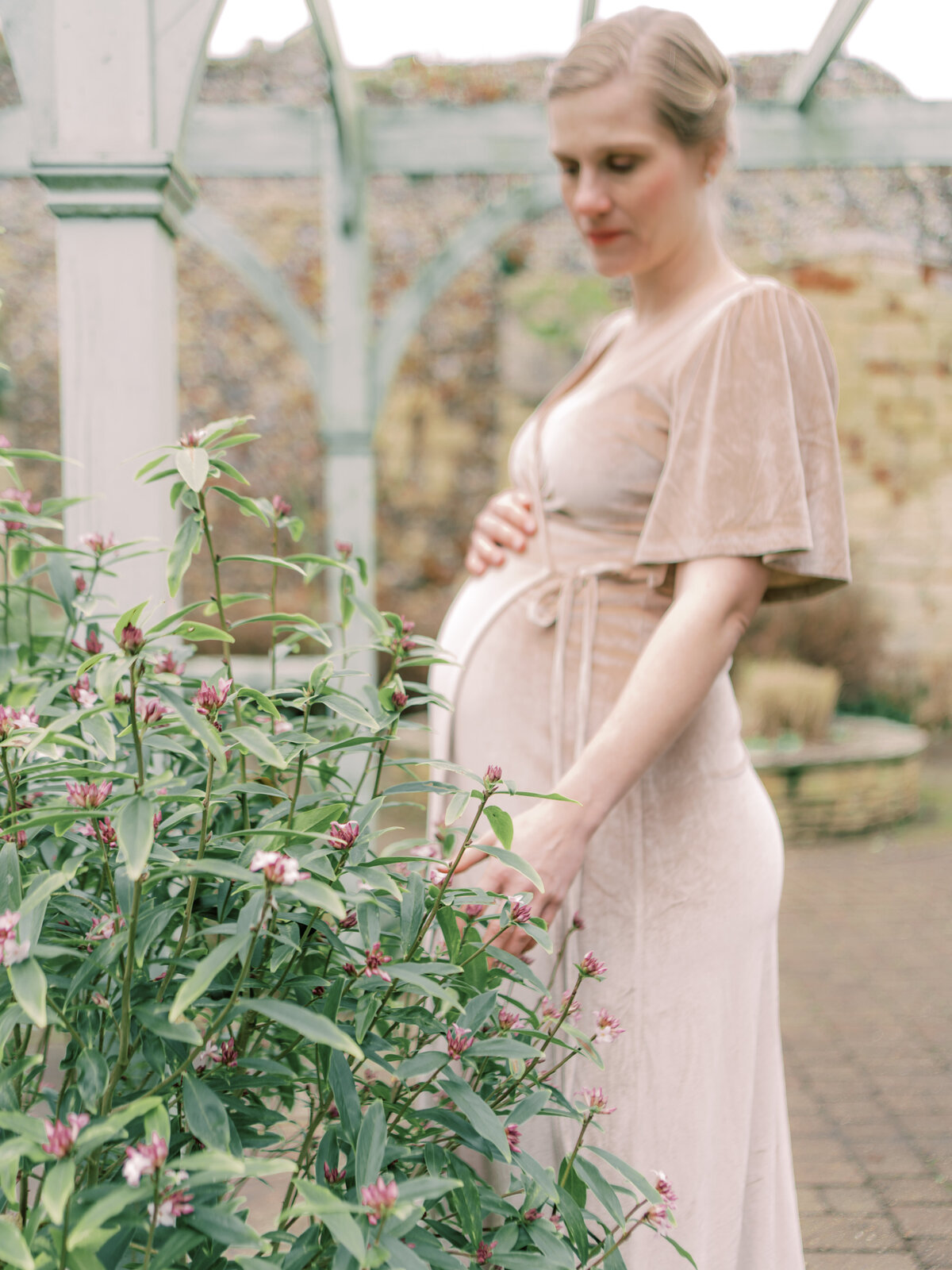 Pregnant mother reaches for flowers in gardens by Maternity photographer Courtney Cronin in Oklahoma City