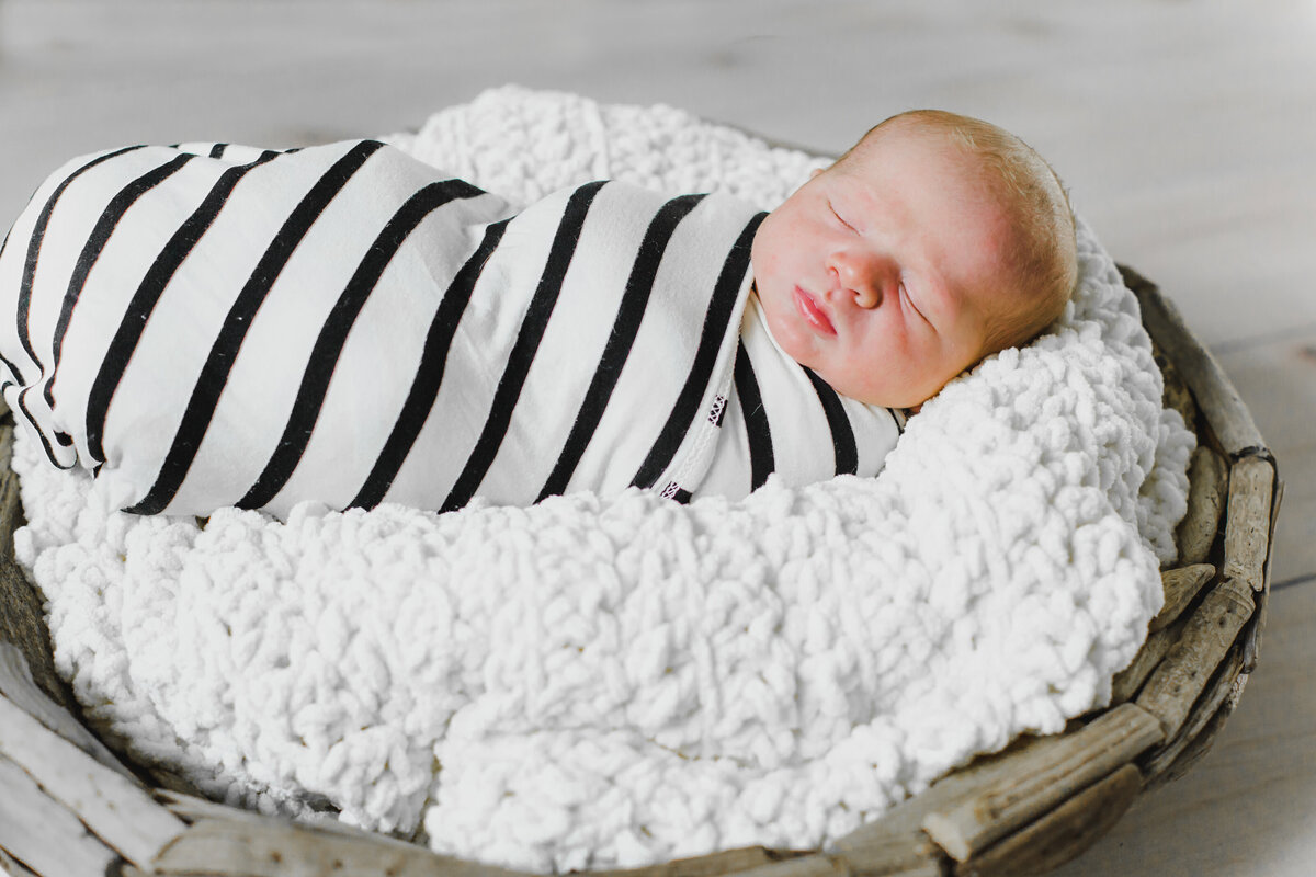 Newborn Session- Benjmin Beck- Studio Family-161