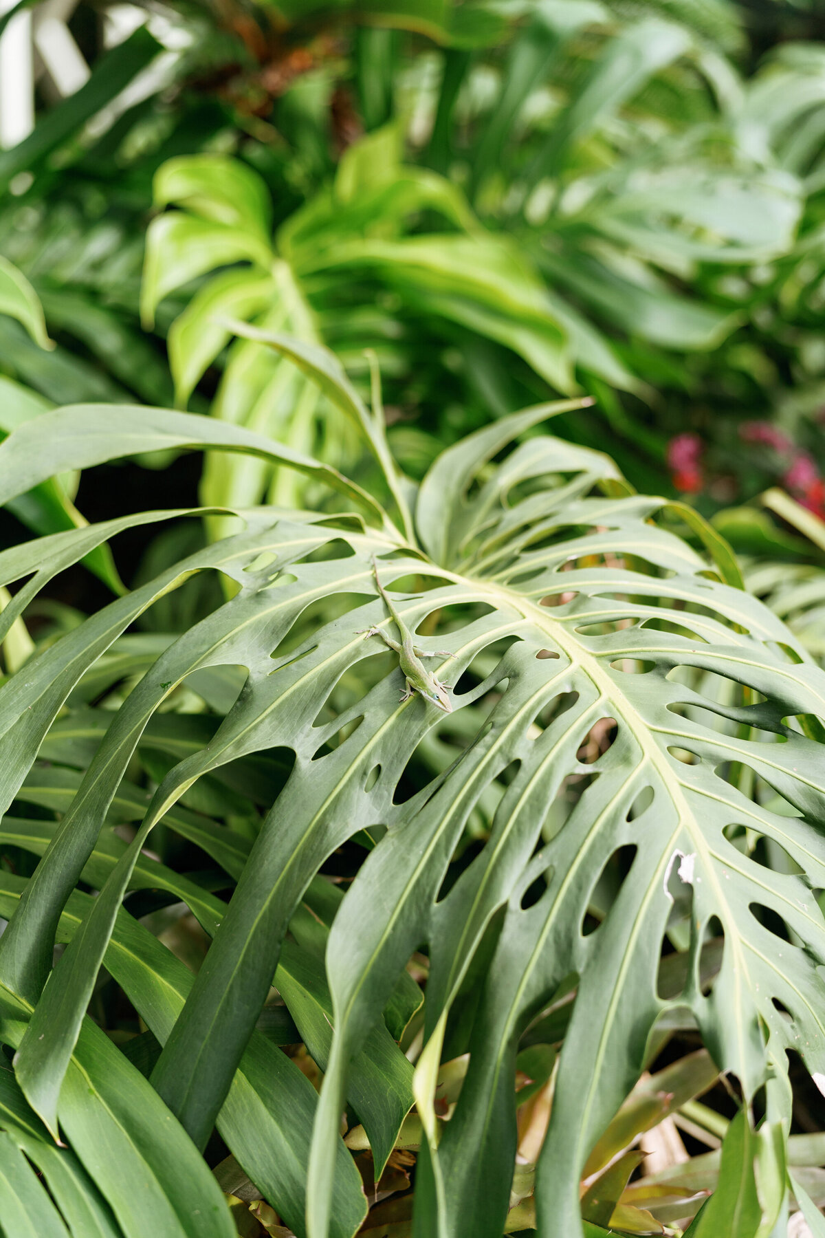 t kira & hannah 0021