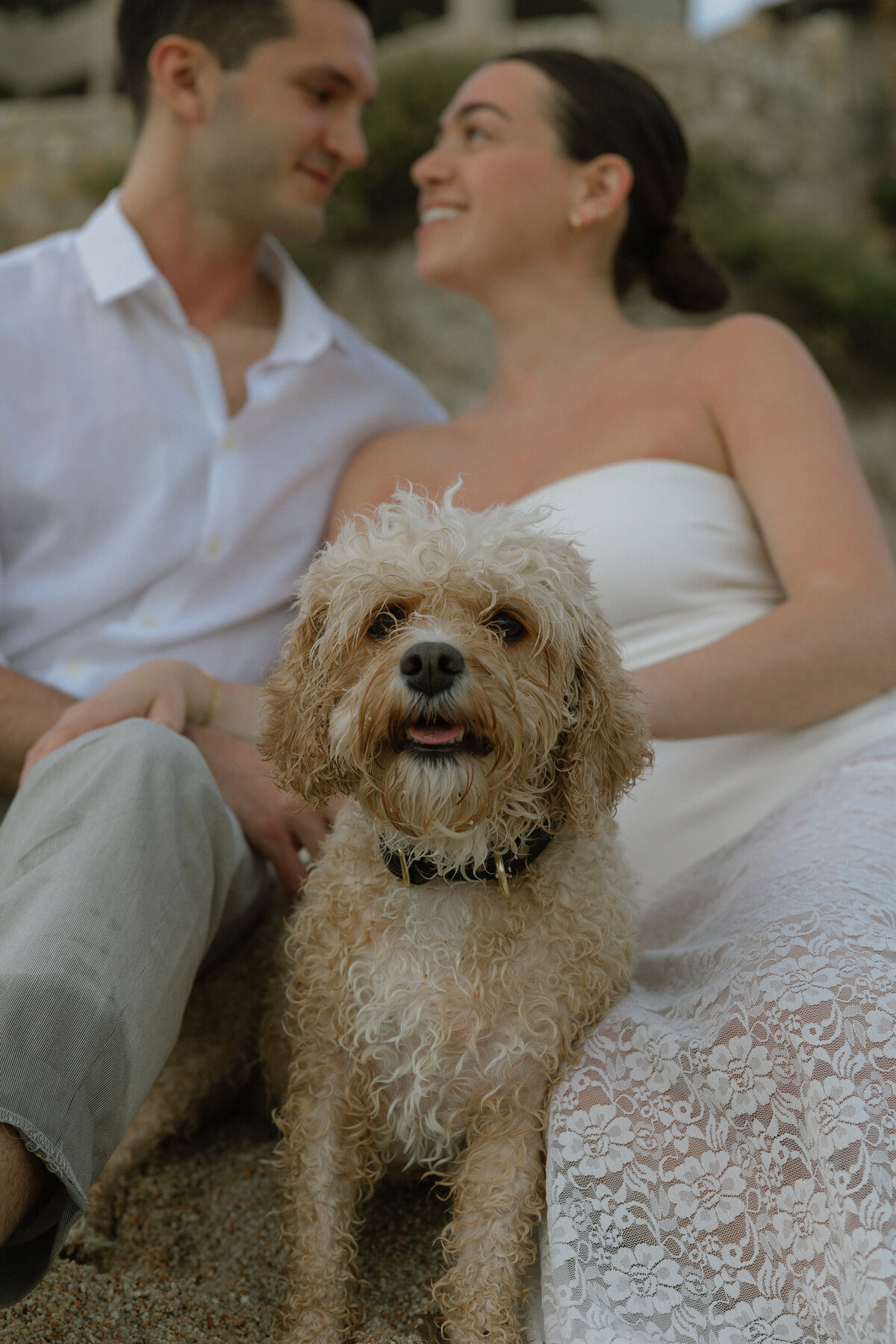 COURTNEY & MIKE - 25