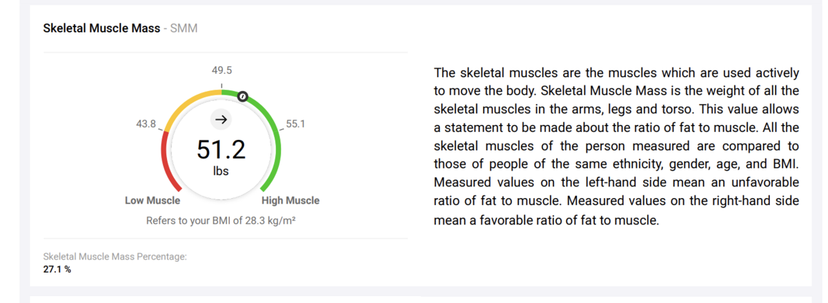 Secca Body Composition Analysis of someone with a higher BMI