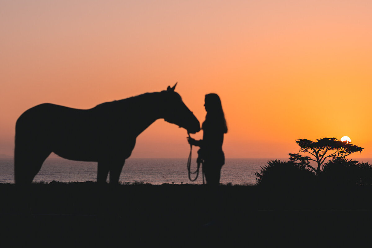 girl silhouette with horse at sunset