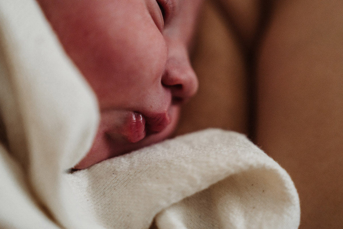 cesarean-birth-photography-natalie-broders-d-100