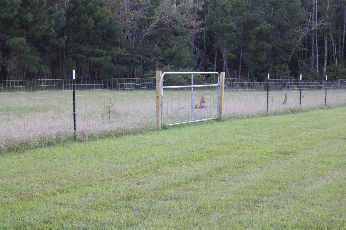 wire-fencing-in-green-grass-with-metal-gate