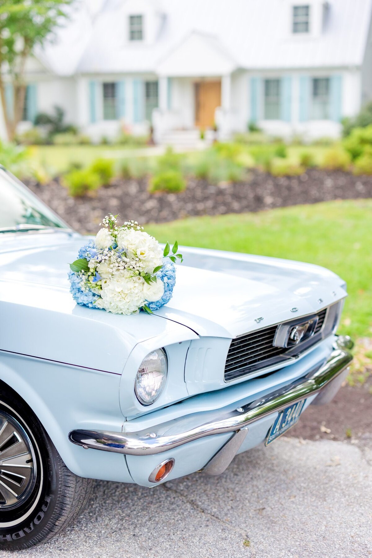 Emma Kate + Will  Newlywed Portraits-14