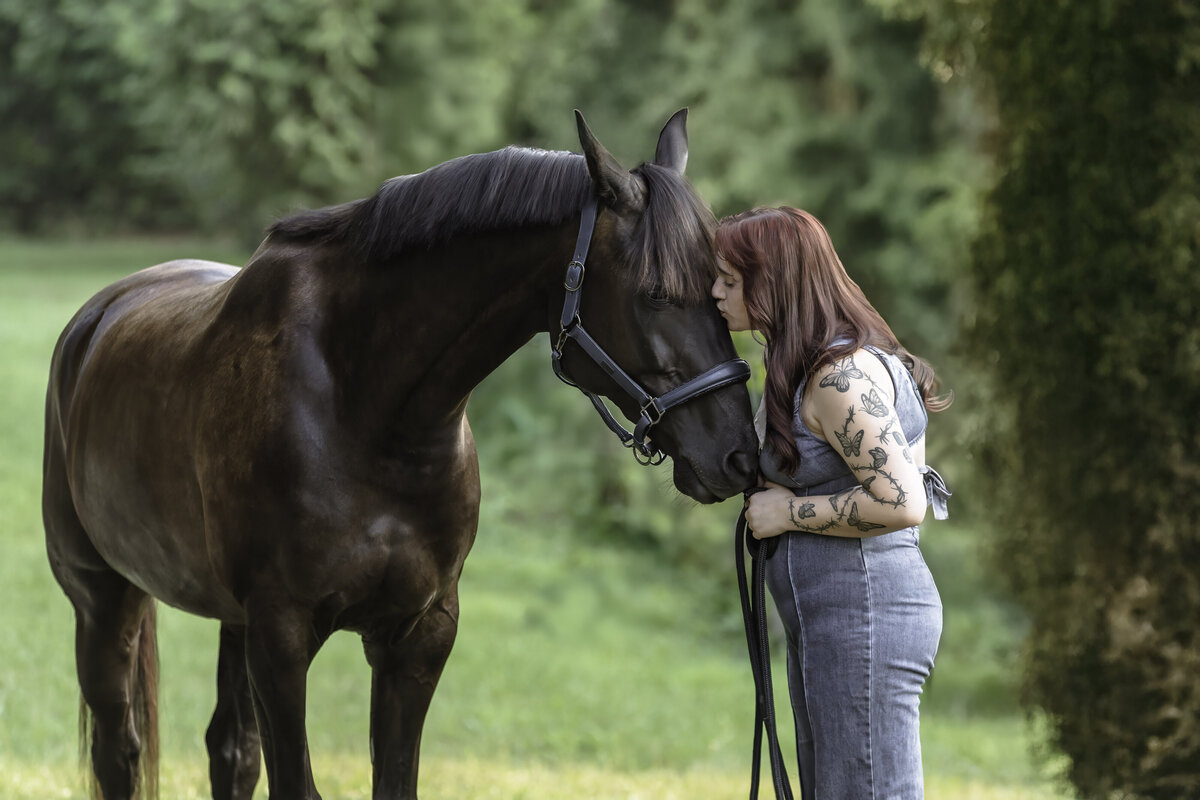 seattle-equine-photographer-5