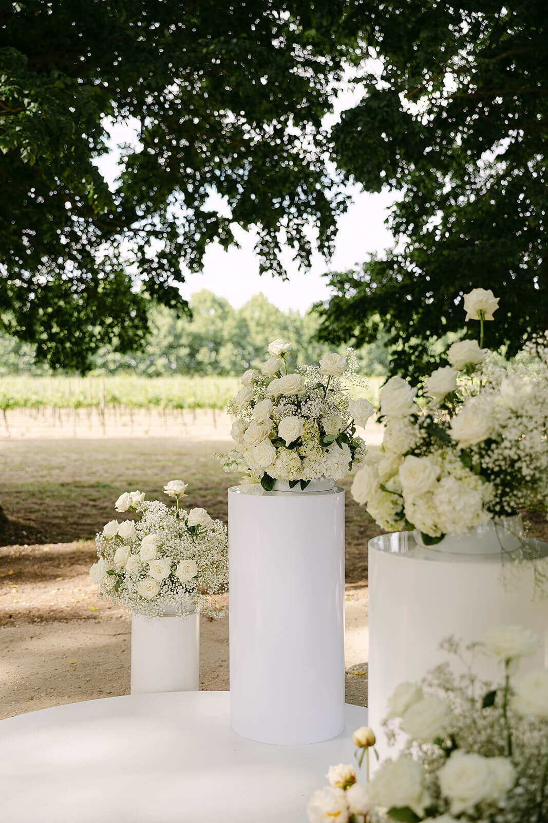 Tayla and Declan x Ashleigh Haase Photography-87