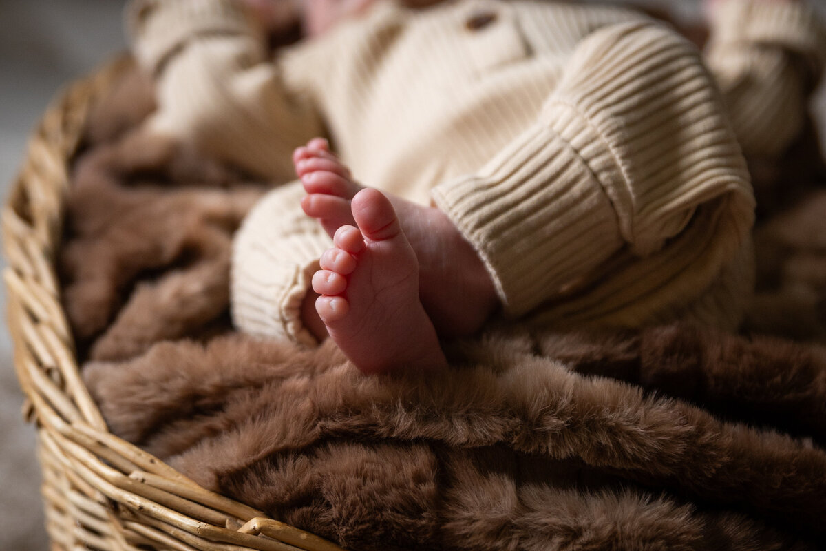 newborn session, alyssa michel photography, love, baby boy, baby girl, rustic, cow print, country, ct photogtspher