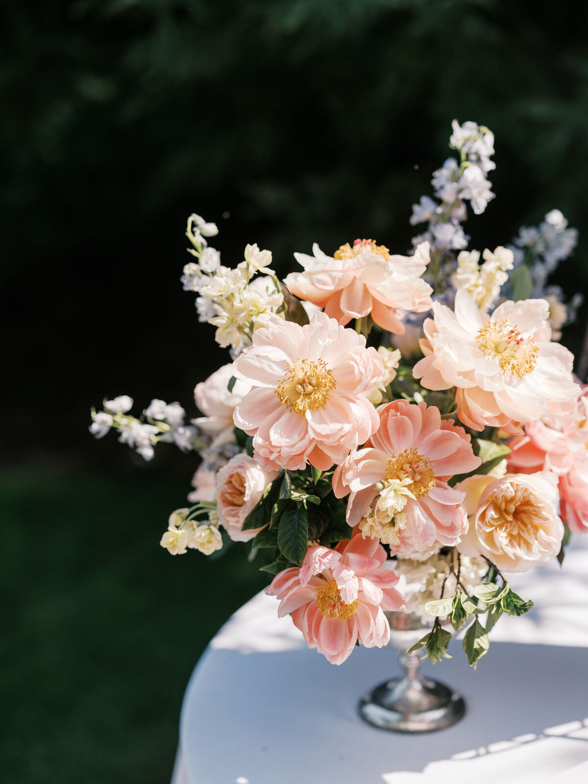 Maria + Grant + Truvision Studios 95