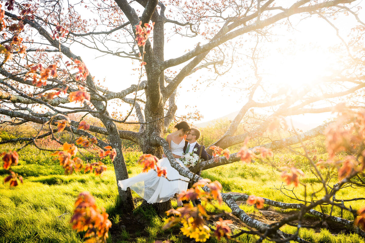 Craggy-Gardens-NC-Elopement-34