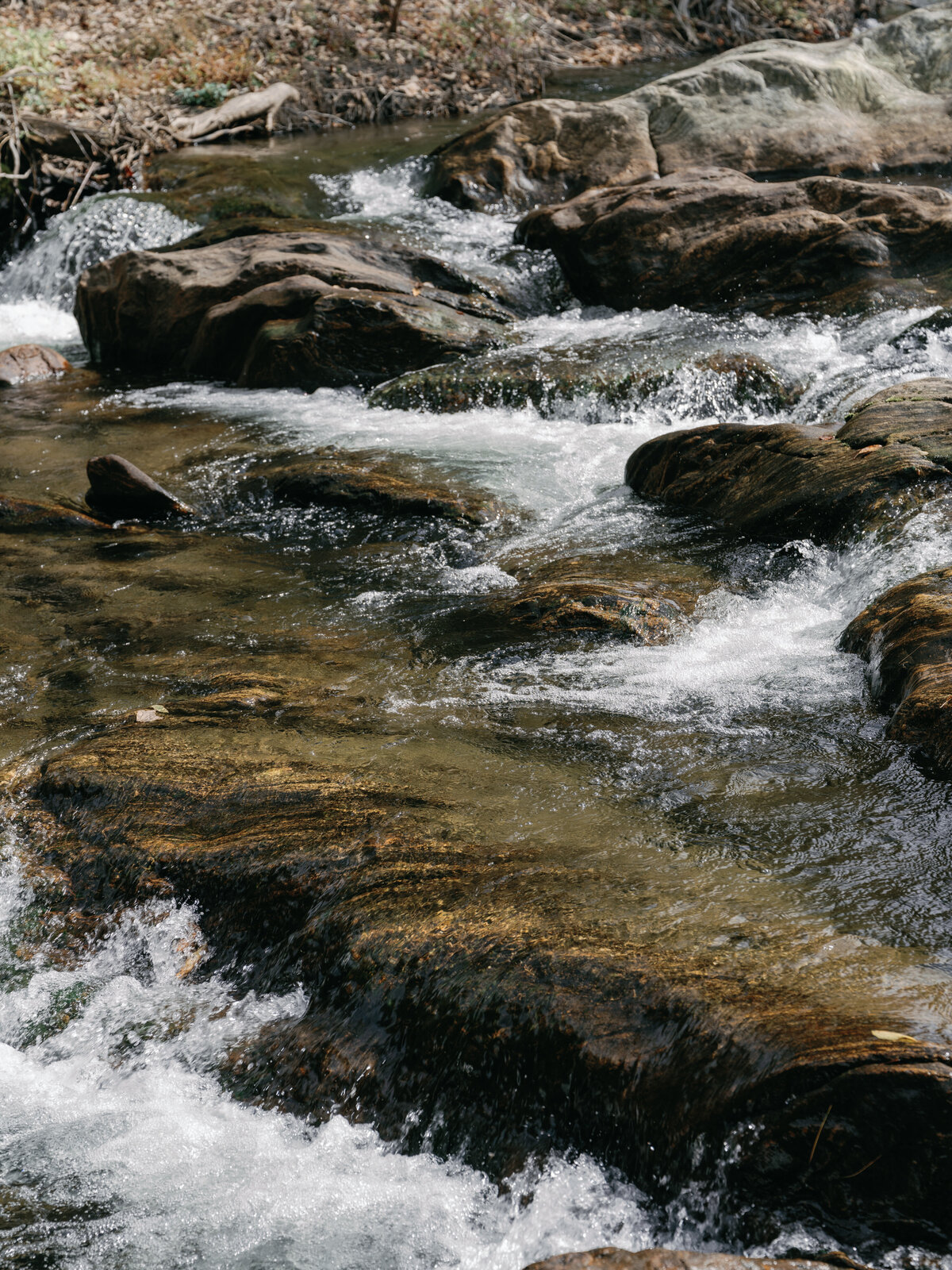 RachelGrant-Website--28