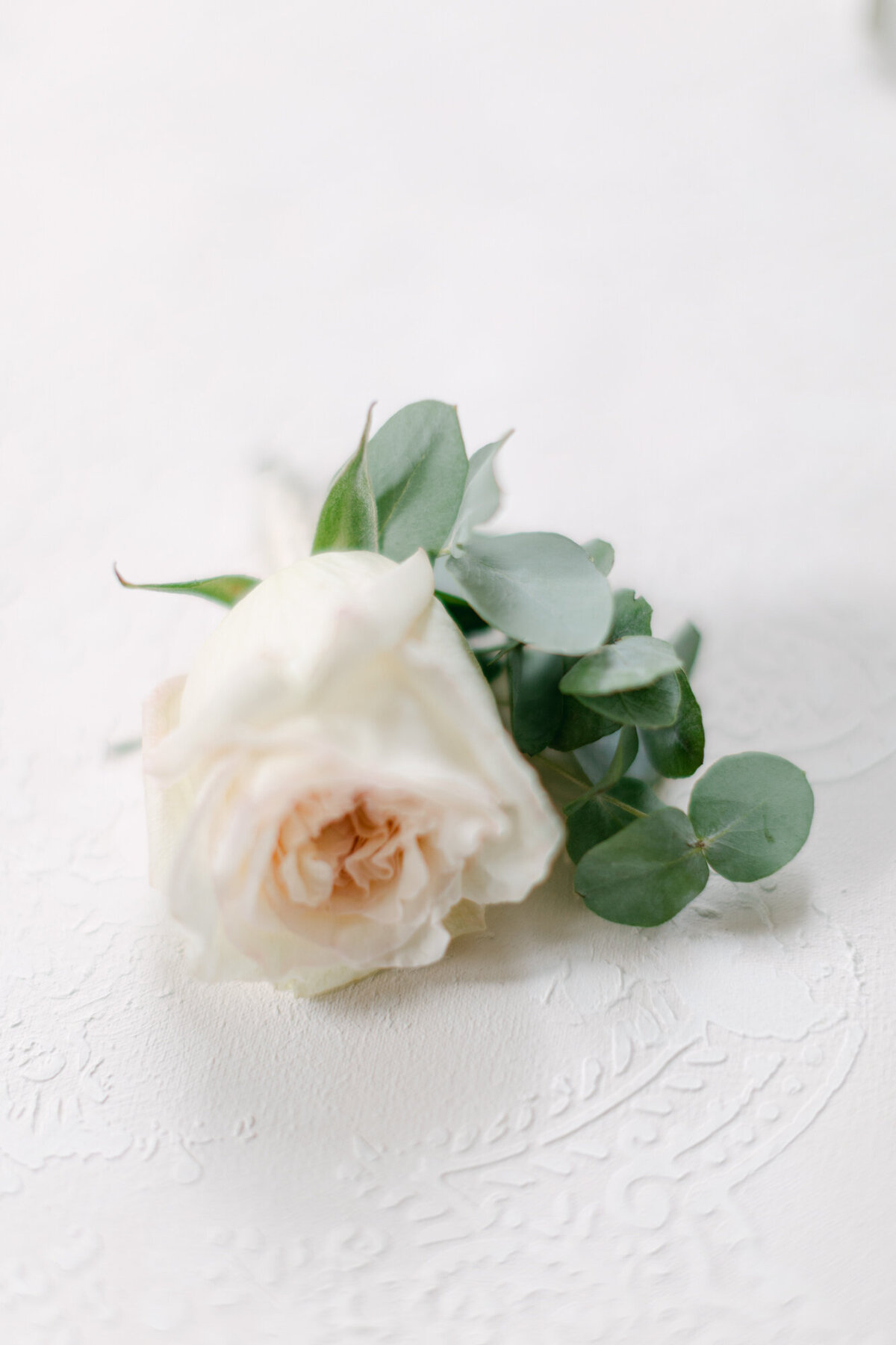wedding_vienna_palais_coburg-19