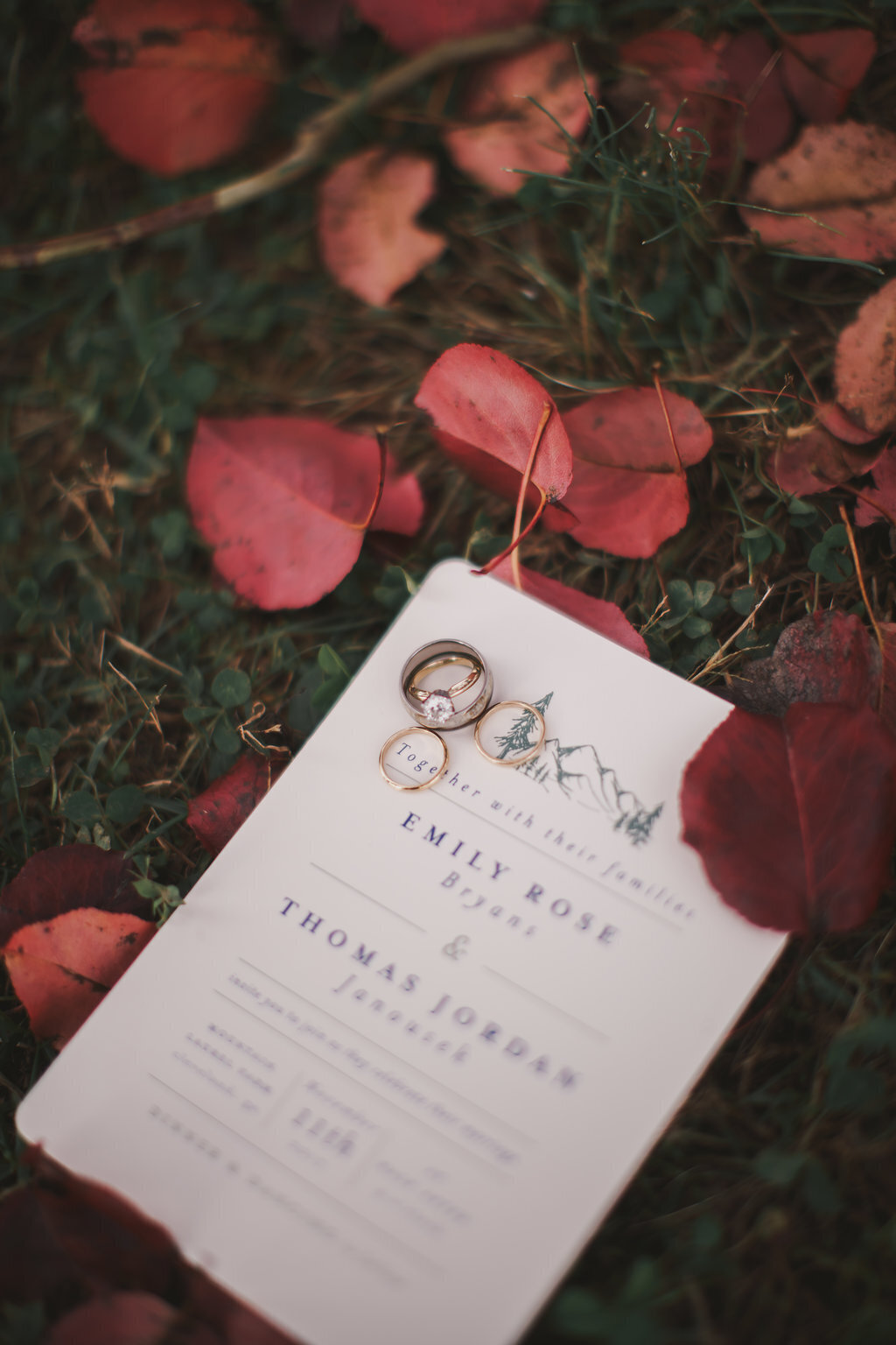 MtnLaurelFarm-Fall-Wedding-2