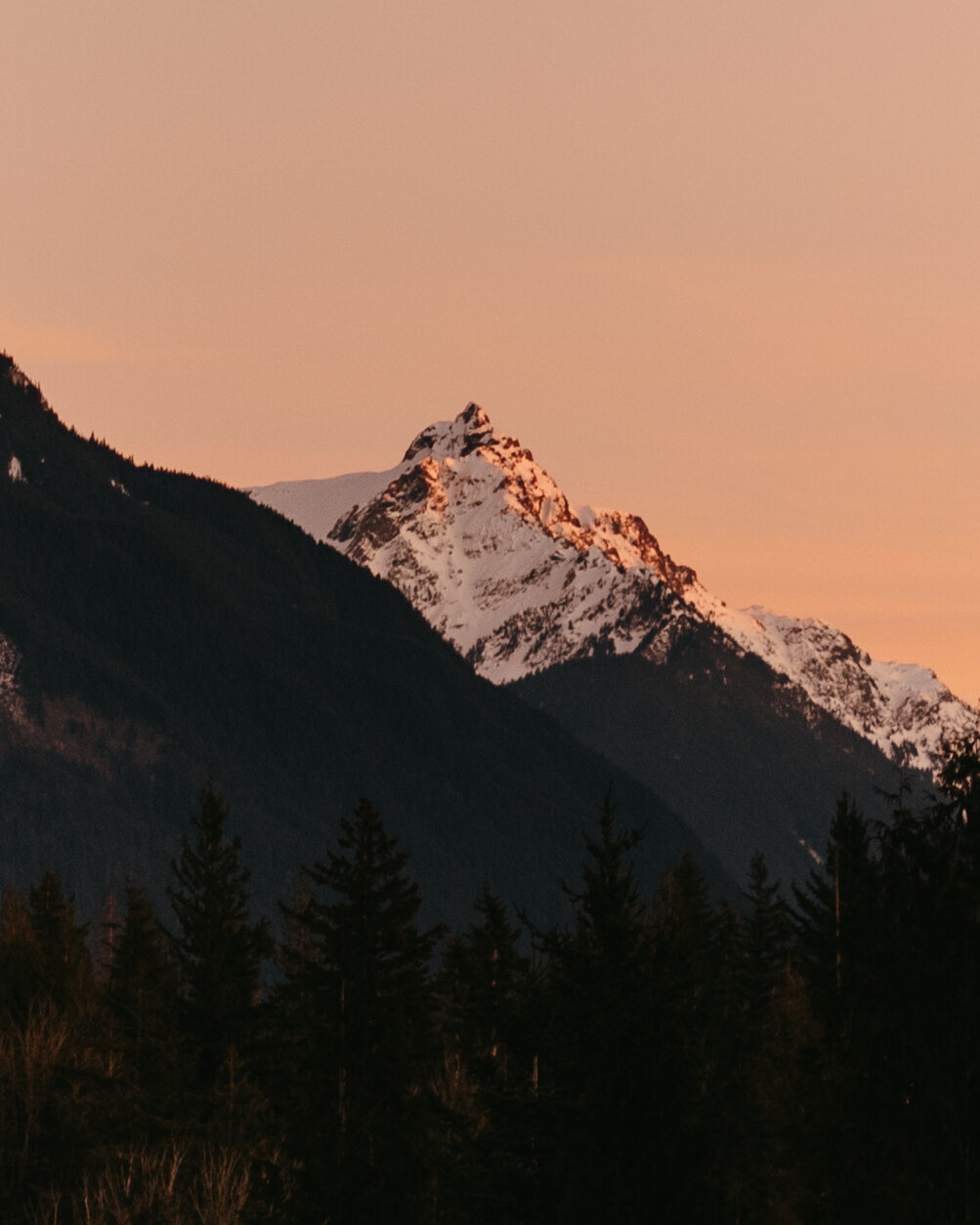 CorissaFirPhotography-9