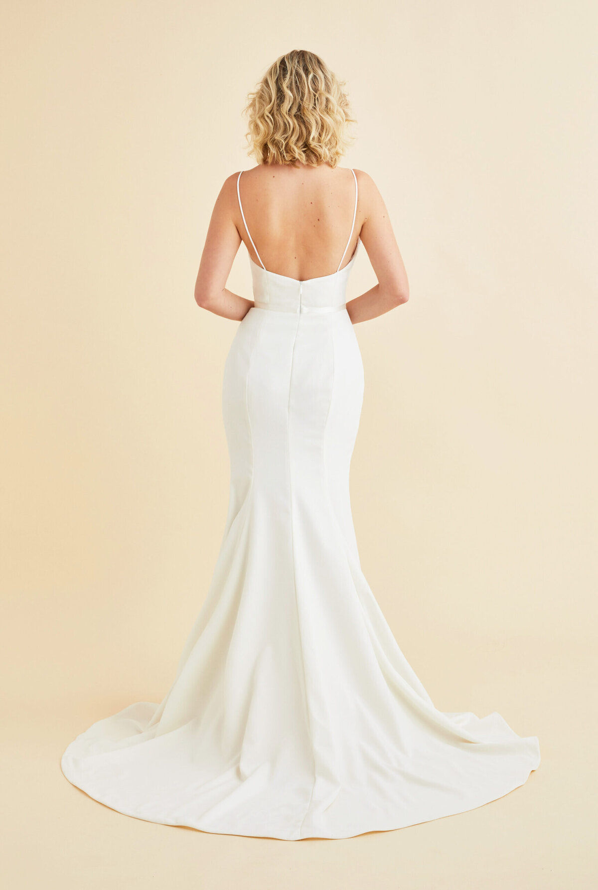 Astrid_and_Mercedes_Wedding_Gown_Dusk_bk-scaled