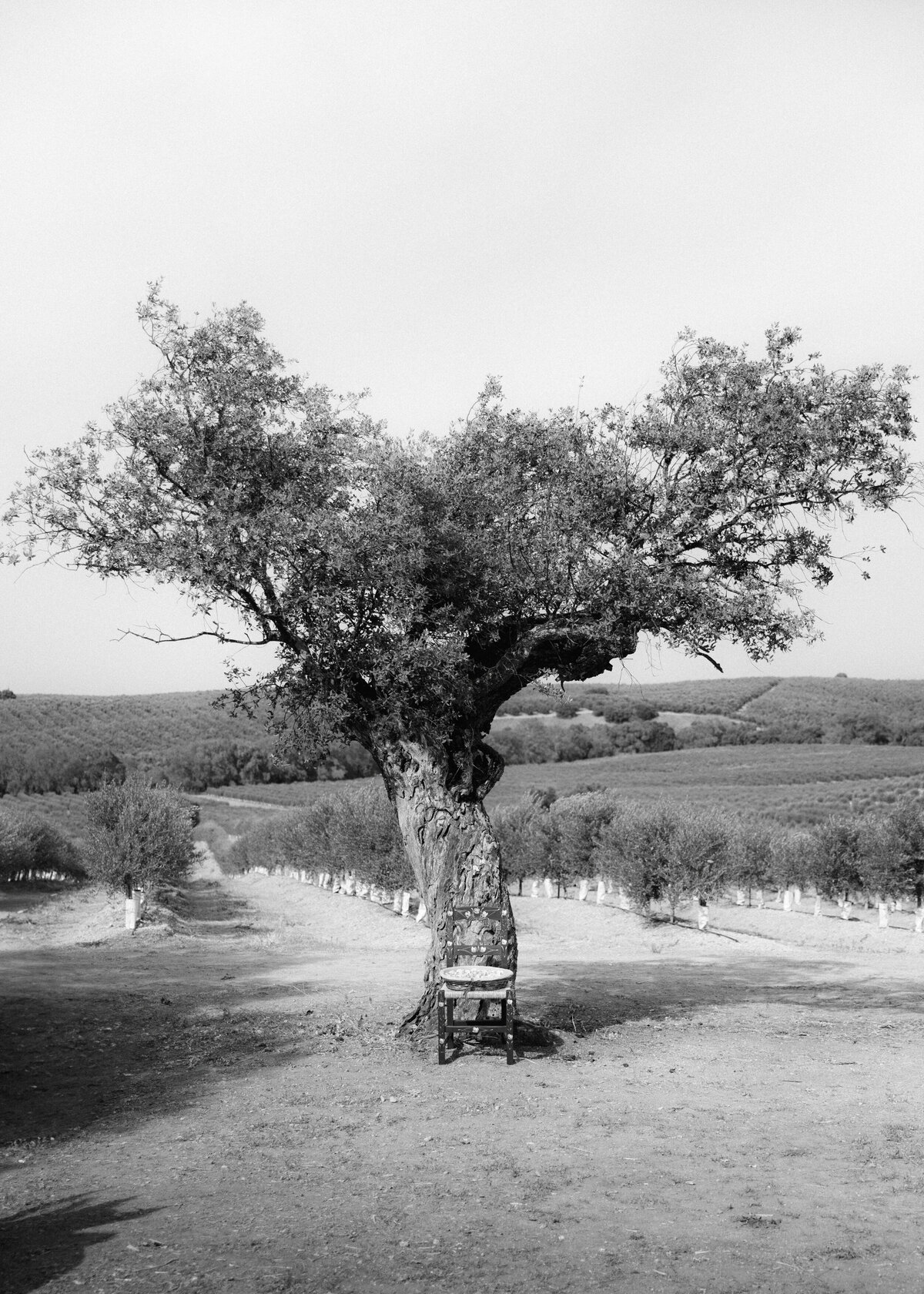 Monte do Ramalho wedding-19