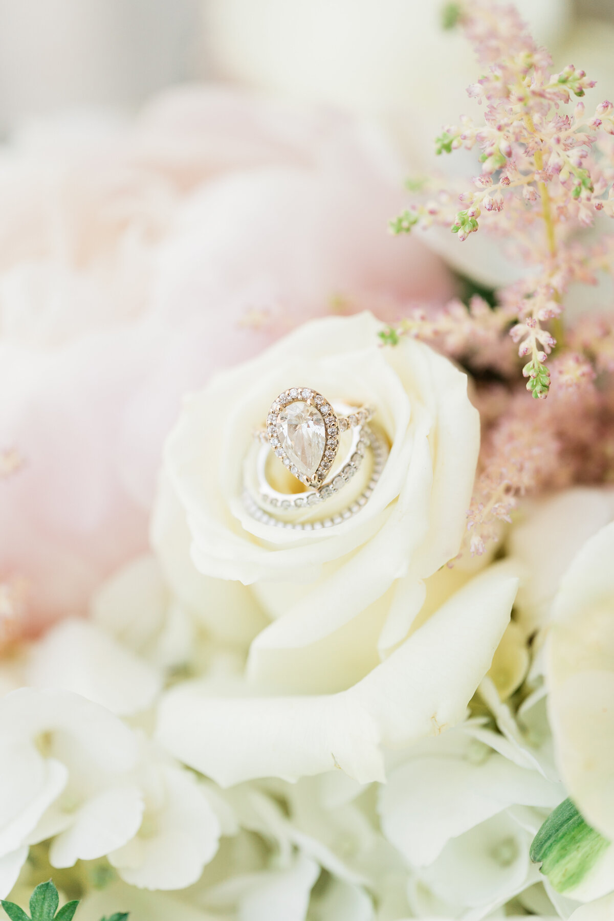 Teardrop diamond ring on a white rose