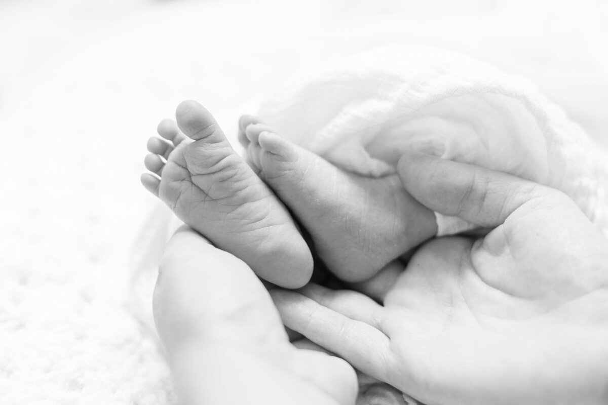 newborn-wbsz-43