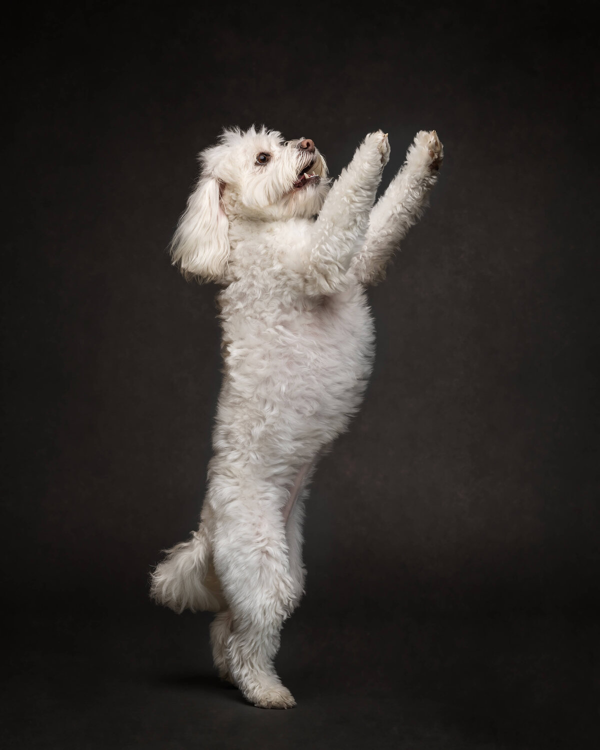 02.21.2025 Frida+Nika-274-Edit