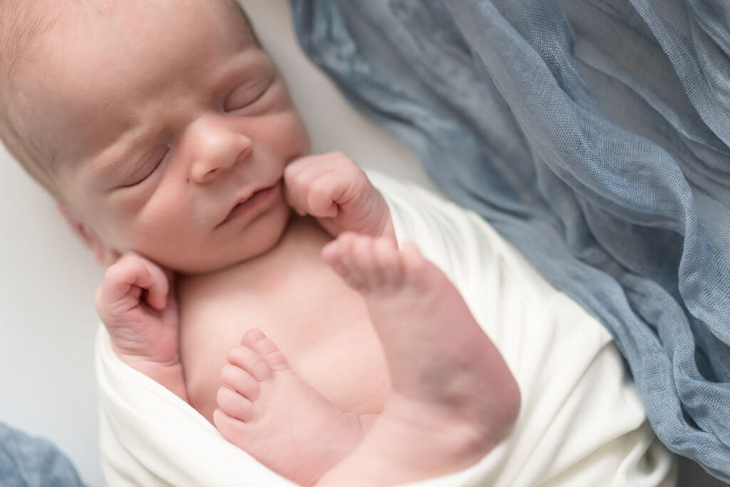 Baby boy is wrapped sweetly in egg pose during a newborn photography session with Thistle and Bloom.
