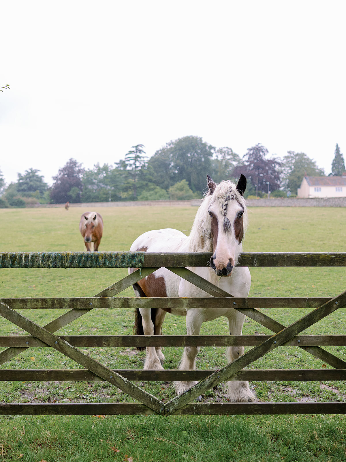 Summer-Estate-Wedding-In-English-Countryside12