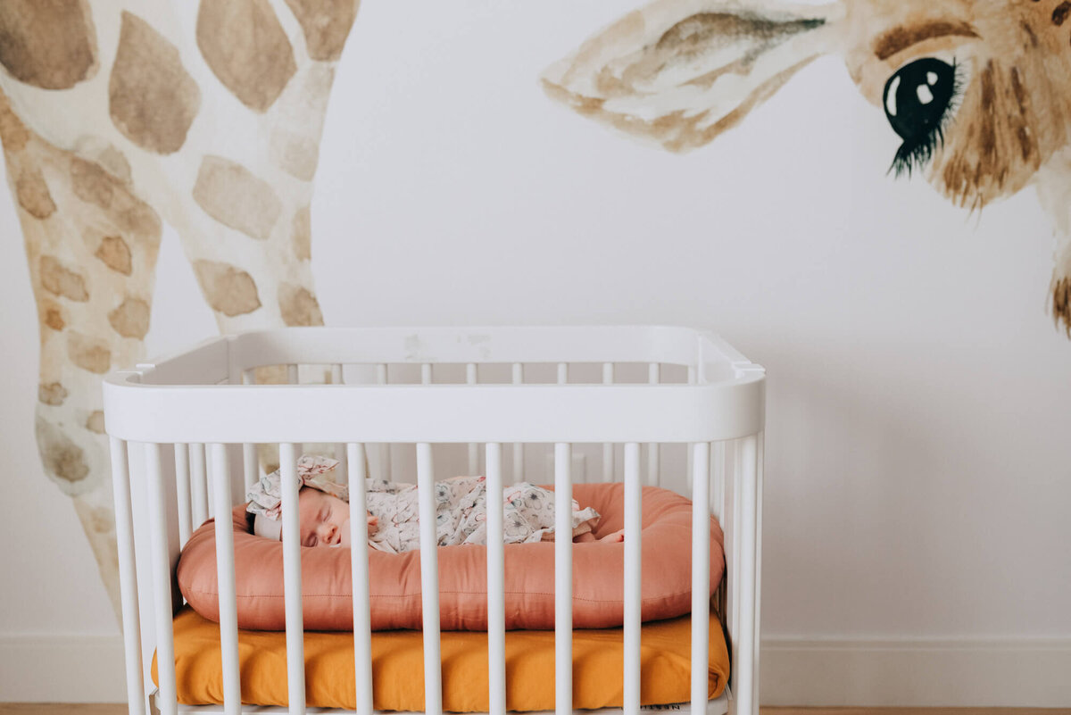 A baby sleeps peacefully on a rose colored snuggleme in her East Boston nursery during her photoshoot with Allison Wolf, Boston Newborn Photographer