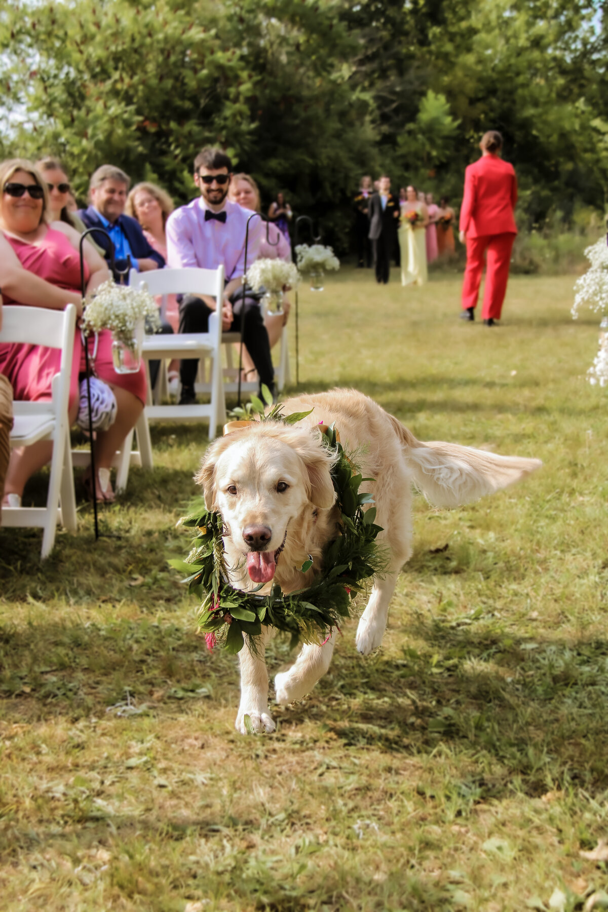 Toledo Outdoor Tent Wedding Venue